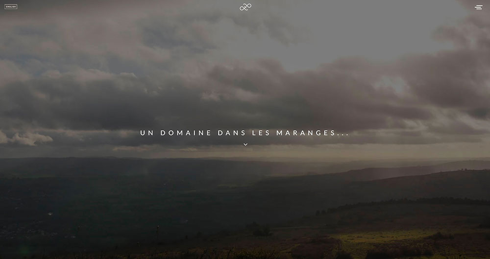 image-3-web